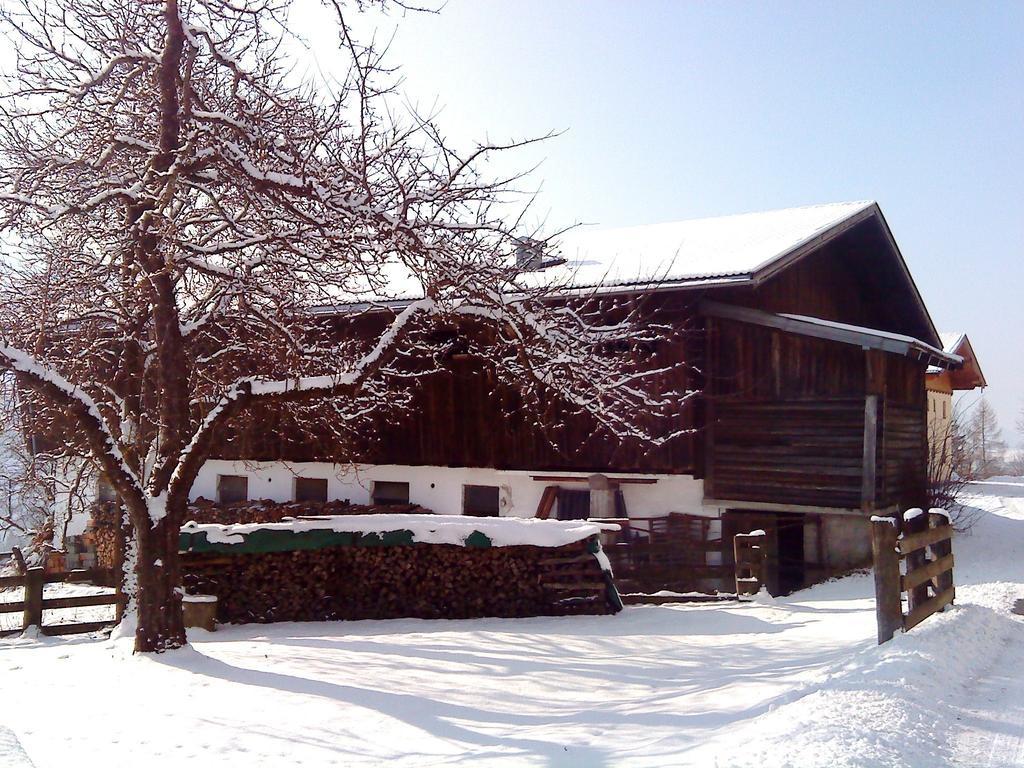 Villa Libiseller Anita Biobauernhof Unterhub à Taxenbach Extérieur photo